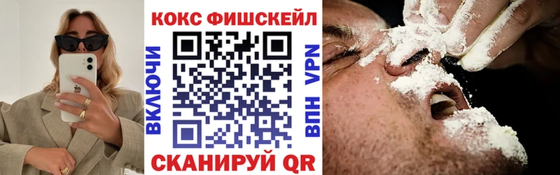 купить закладку  Якутск  Кокаин FishScale 