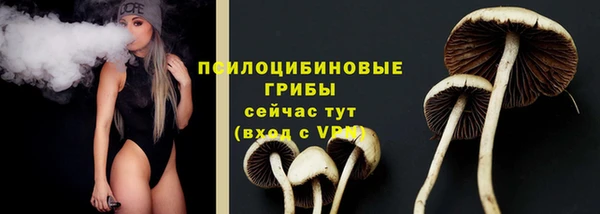 молекула духа Алексин