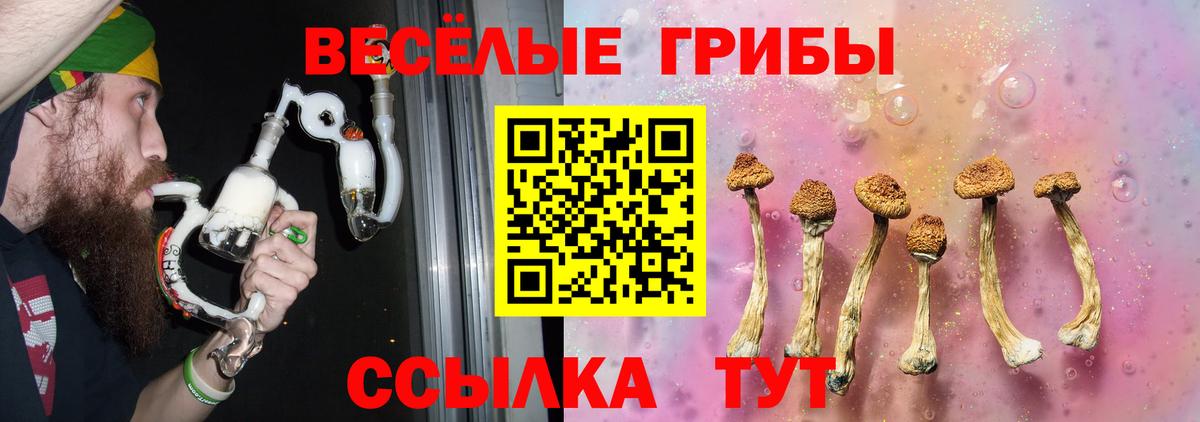 Псилоцибиновые грибы мицелий Якутск
